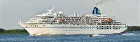 Amadea