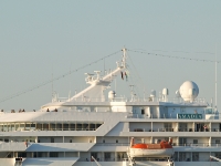 Amadea