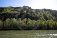 An der Donau