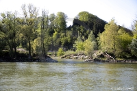 An der Donau