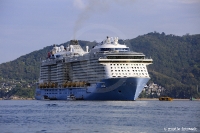 Quantum of the Seas