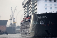 Mein Schiff 6