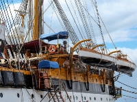 Amerigo-Vespucci_mfw13__027237