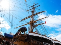 Amerigo-Vespucci_mfw13__027252