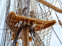 Amerigo Vespucci