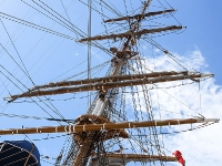 Amerigo-Vespucci_mfw13__027258