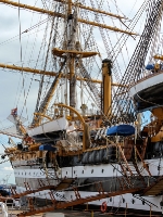 Amerigo-Vespucci_mfw13__027302