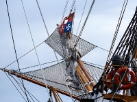 Amerigo-Vespucci_mfw13__027315