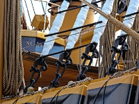 Amerigo-Vespucci_mfw13__027320