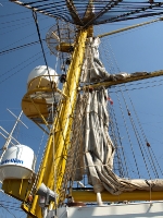 Gorch Fock - Das Schiff