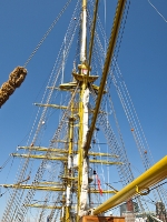 Gorch Fock - Das Schiff