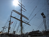 Gorch Fock - Das Schiff