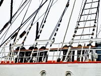 sedov_AA315442