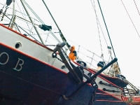 sedov_AA315466