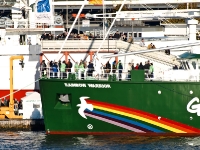 Rainbow Warrior