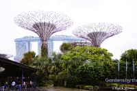 Gardens by the Bay