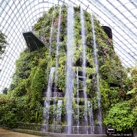 Gardens by the Bay