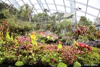 Gardens by the Bay