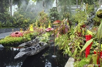 Gardens by the Bay