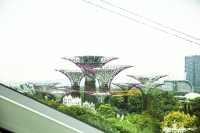 Gardens by the Bay