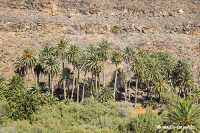 Insel Fuerteventura