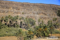 Insel Fuerteventura