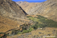 Insel Fuerteventura