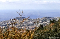 Cablecar und Berg