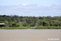 Amazonas