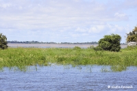 Amazonas