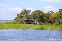 Amazonas