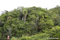 Balneario Camboriu