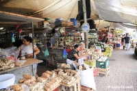 Belem - Markt