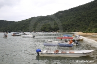 Ilha Grande