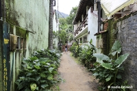 Ilha Grande