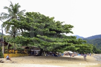 Ilha Grande