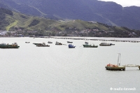 Ilhabela