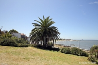 Montevideo