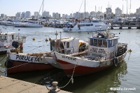 Punta del Este