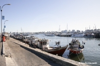 Punta del Este