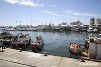 Punta del Este