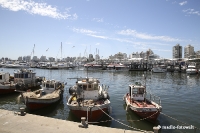 Punta del Este