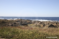 Punta del Este