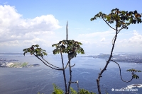 Rio de Janeiro von oben