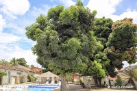 Cachoeira