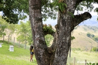 Fazenda Santa Cruz