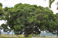 Fazenda Santa Cruz