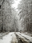 Winter auf den Straßen