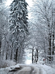 Winter auf den Straßen