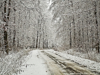 Winter auf den Straßen